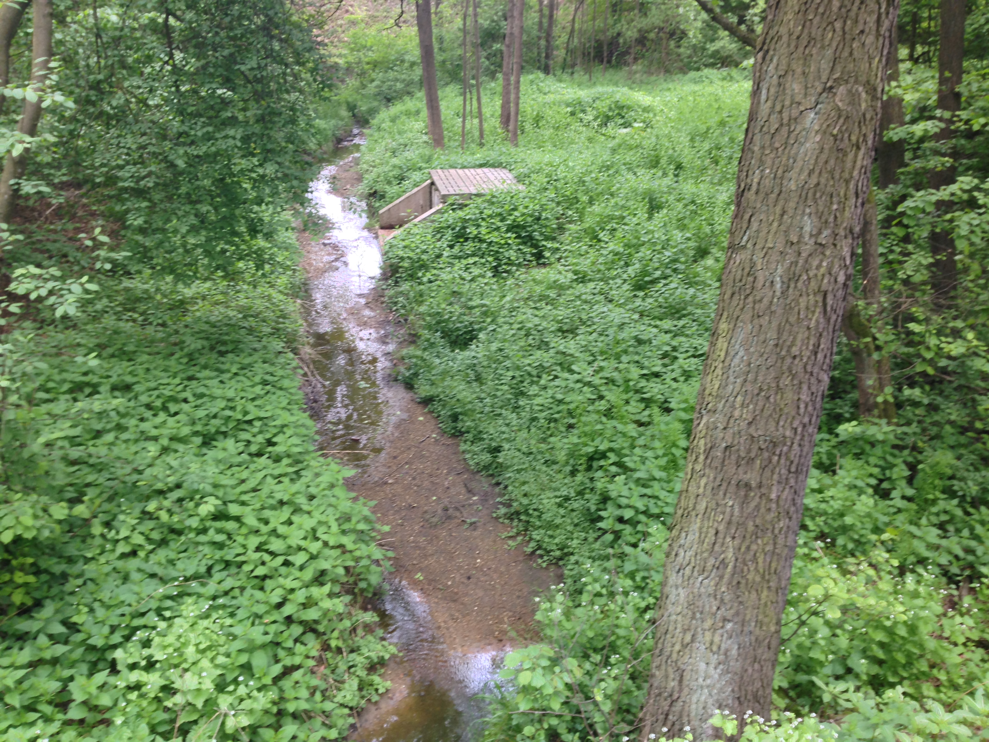 2015-05-23 11.06.57.jpg