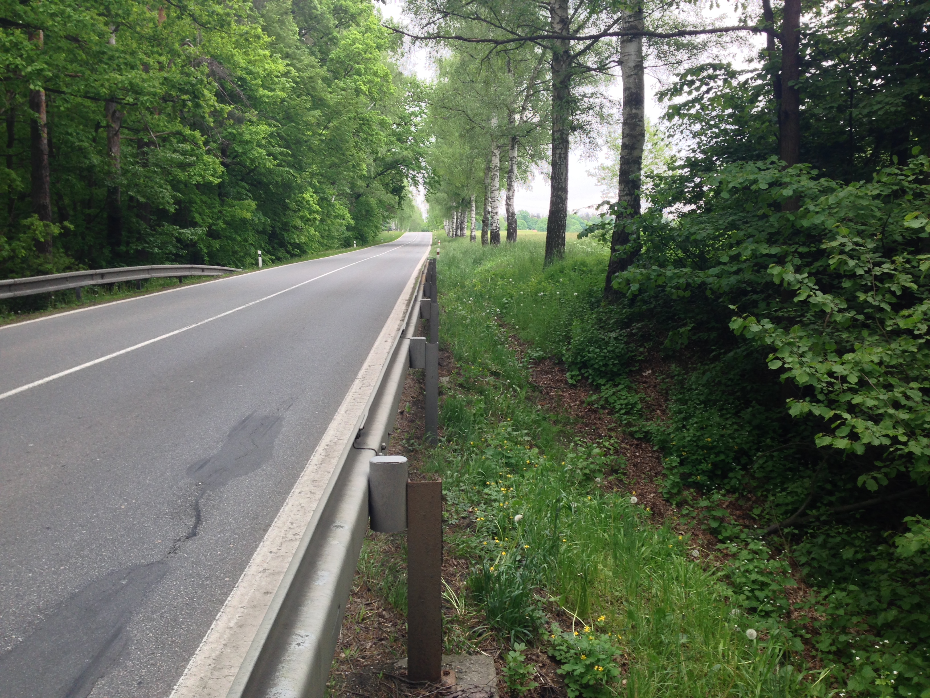 2015-05-23 11.07.01.jpg