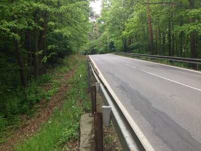 2015-05-23 11.07.04.jpg