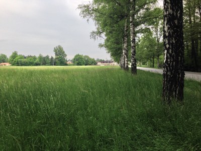 2015-05-23 11.11.16.jpg