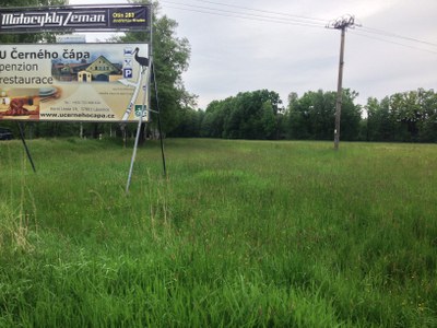 2015-05-23 11.19.36.jpg