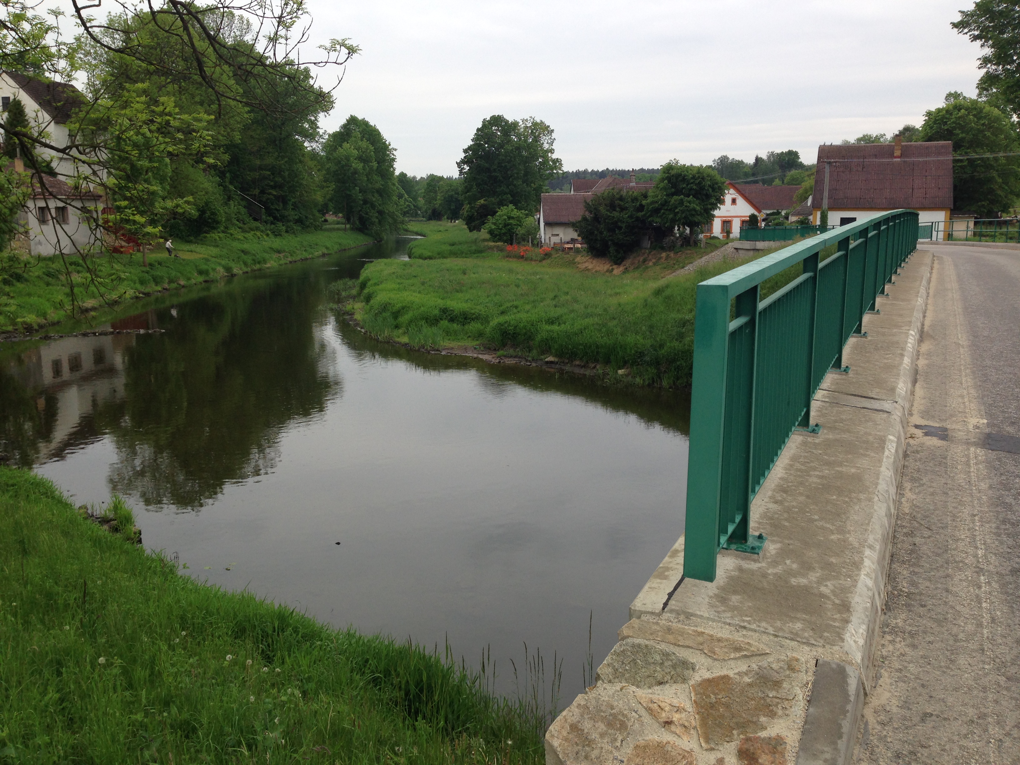 2015-05-23 11.32.50.jpg