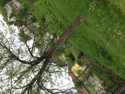 2015-05-23 11.32.53-1.jpg