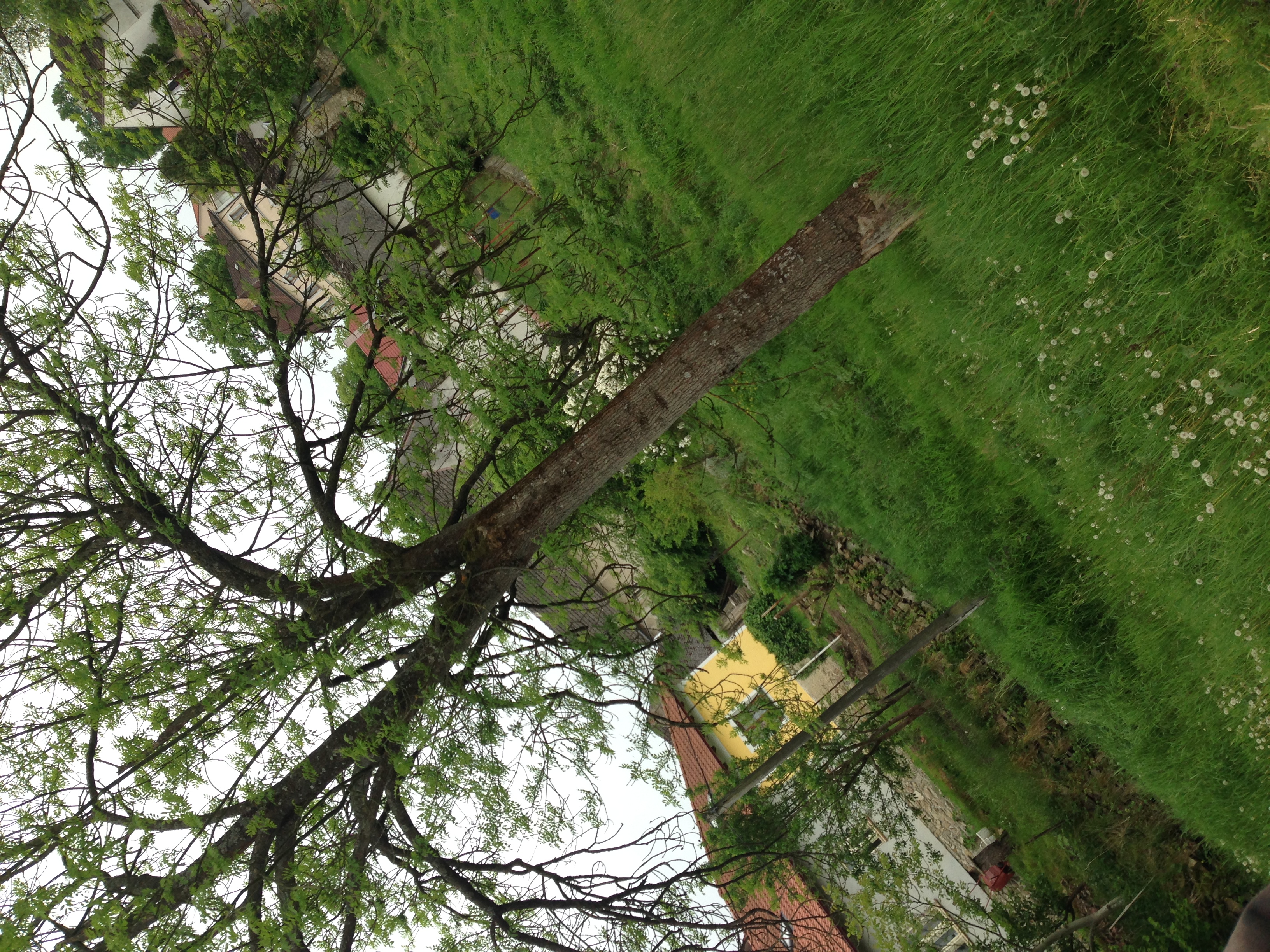 2015-05-23 11.32.53.jpg