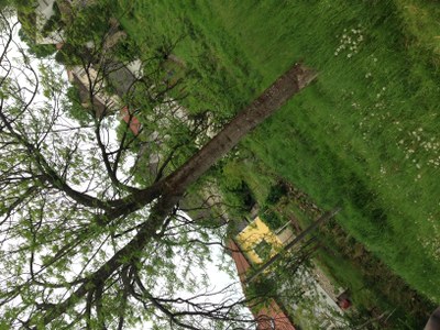 2015-05-23 11.32.53.jpg