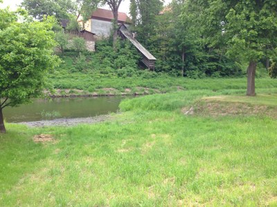 2015-05-23 11.44.59.jpg