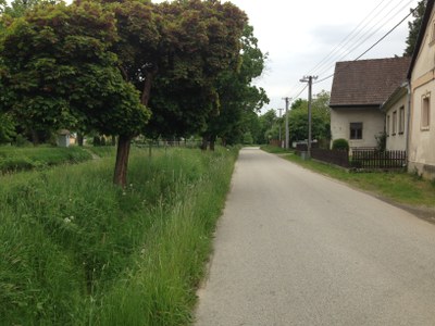 2015-05-23 11.49.13.jpg