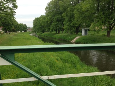 2015-05-23 11.52.01.jpg