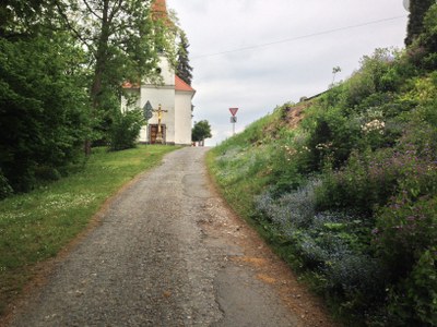 2015-05-23 11.55.42.jpg