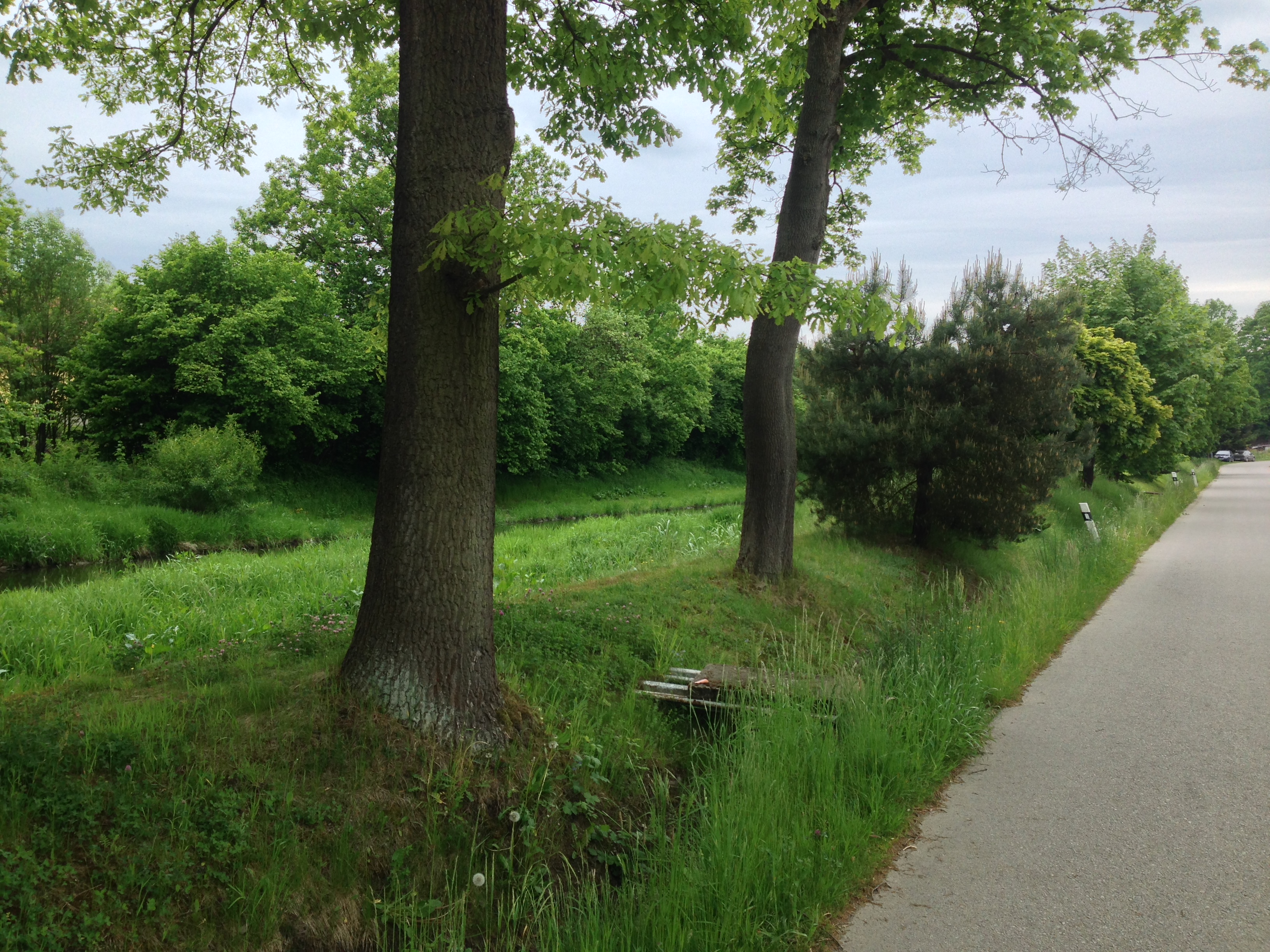 2015-05-23 12.17.05.jpg