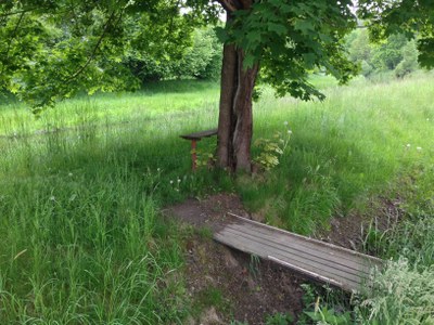 2015-05-23 12.20.15.jpg