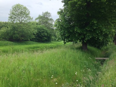 2015-05-23 12.20.53.jpg