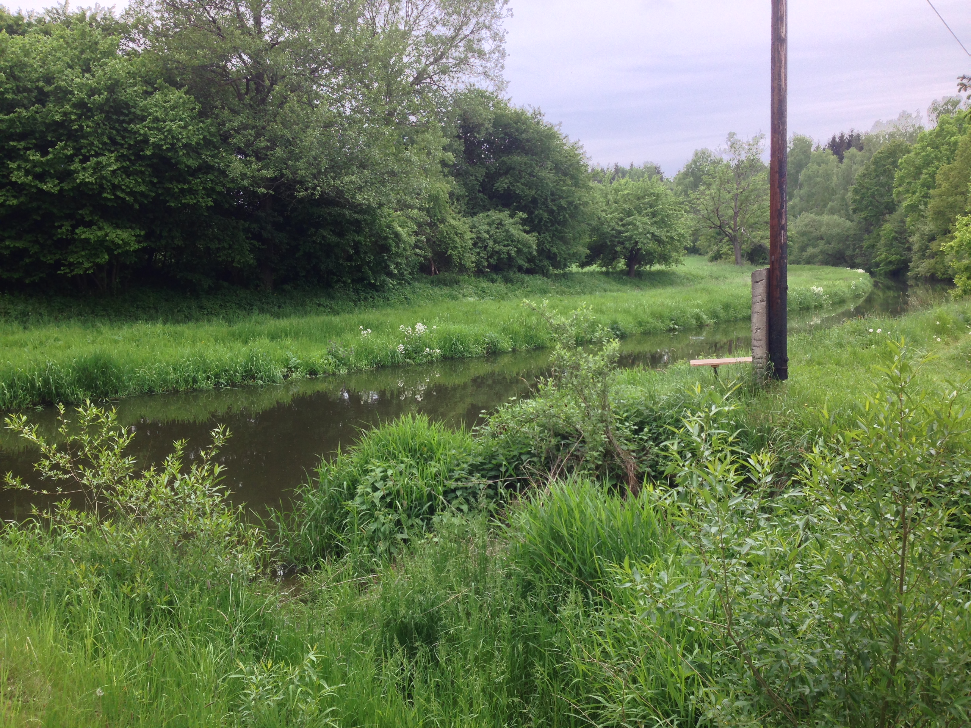 2015-05-23 12.21.46.jpg