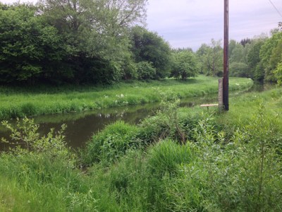 2015-05-23 12.21.46.jpg