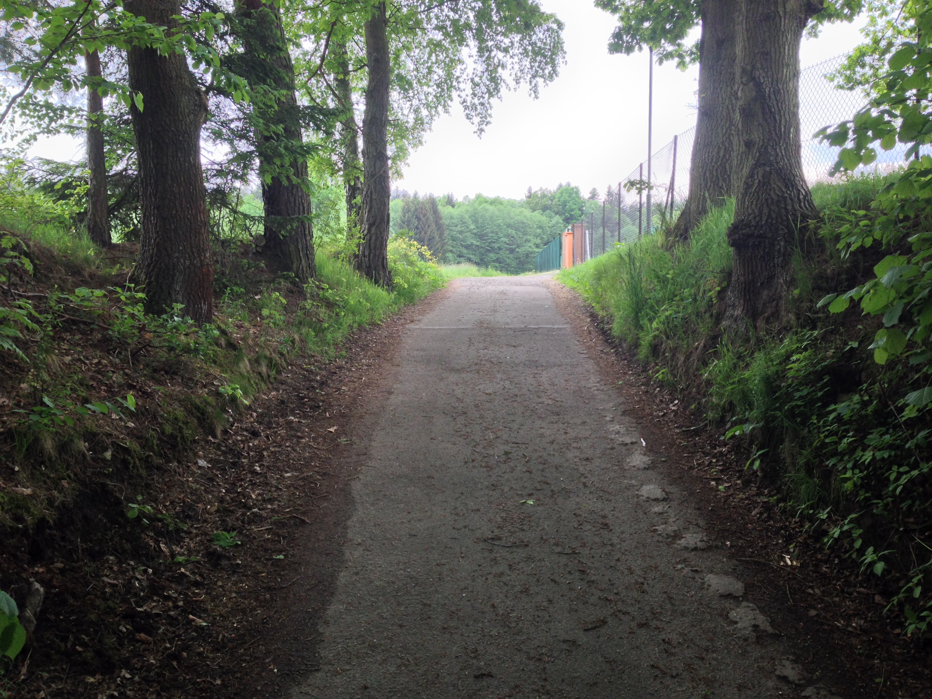 2015-05-23 12.28.26.jpg