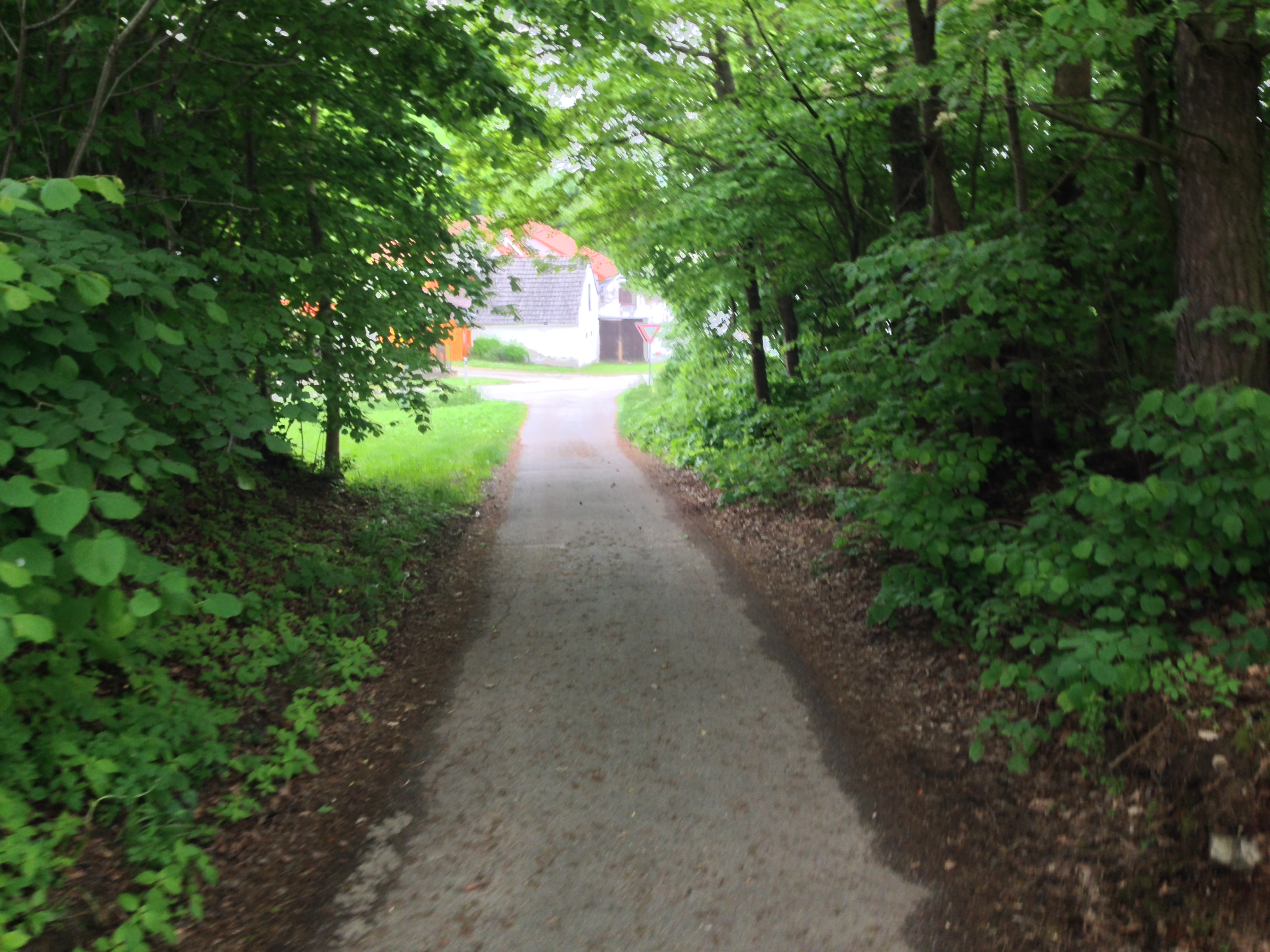 2015-05-23 12.28.58.jpg