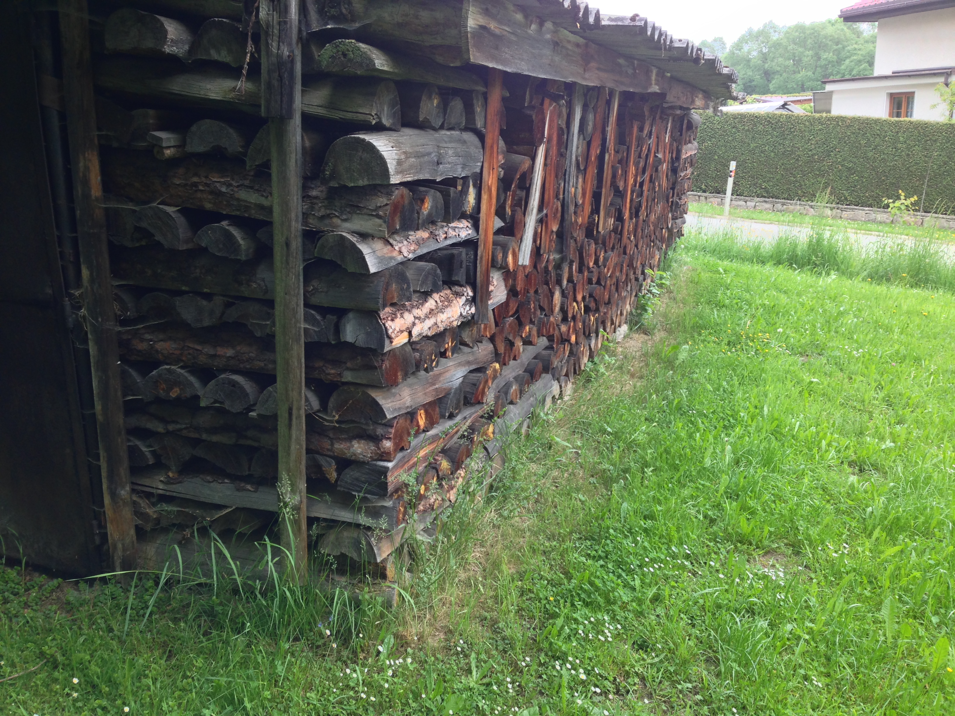 2015-05-23 12.29.31.jpg