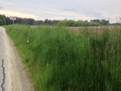 2015-05-23 12.31.38.jpg