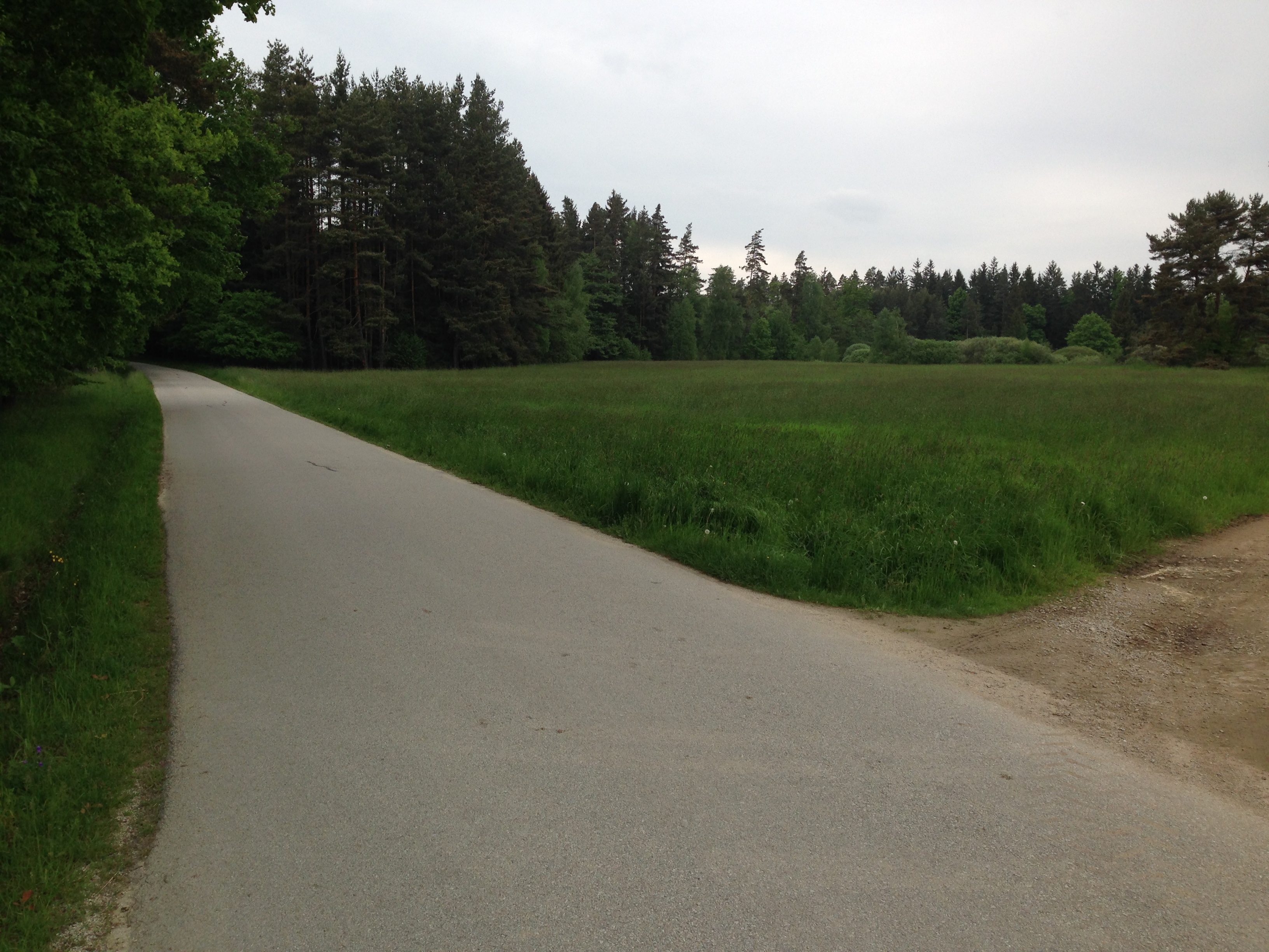 2015-05-23 12.38.33.jpg