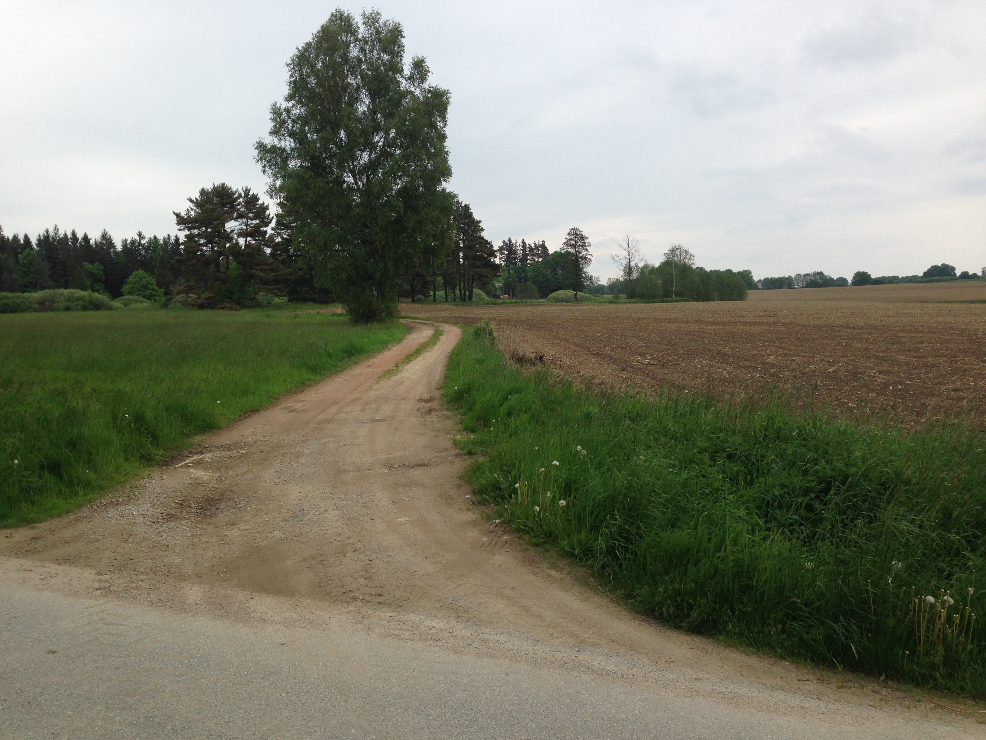 2015-05-23 12.38.36.jpg