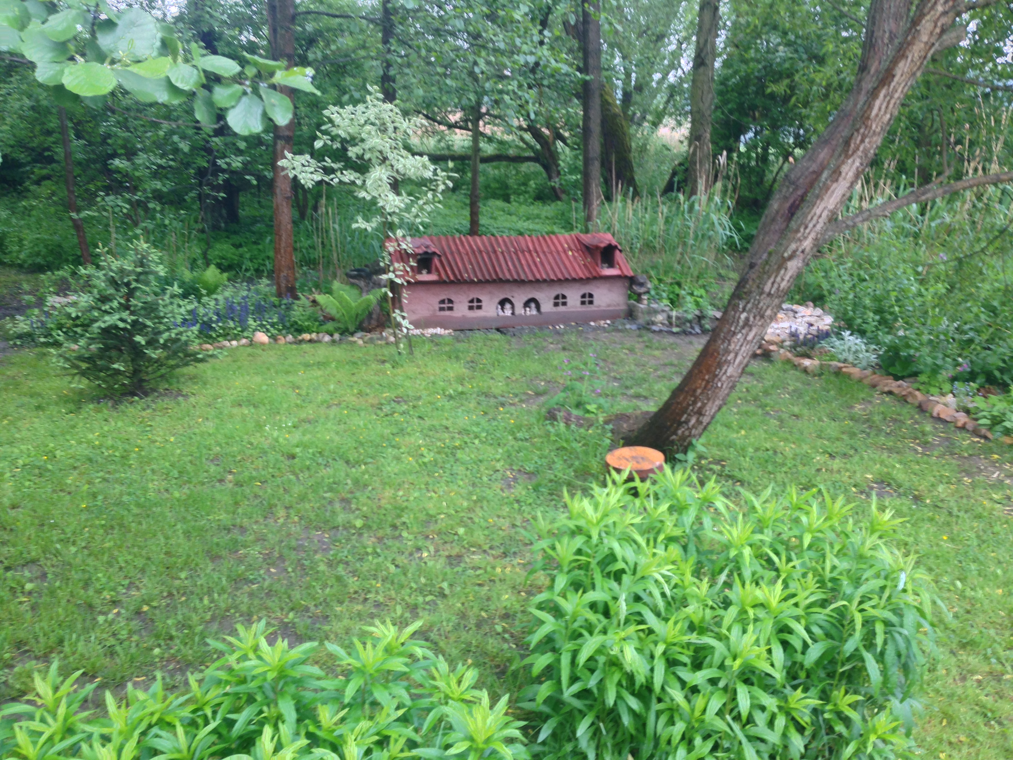 2015-05-24 10.12.28.jpg