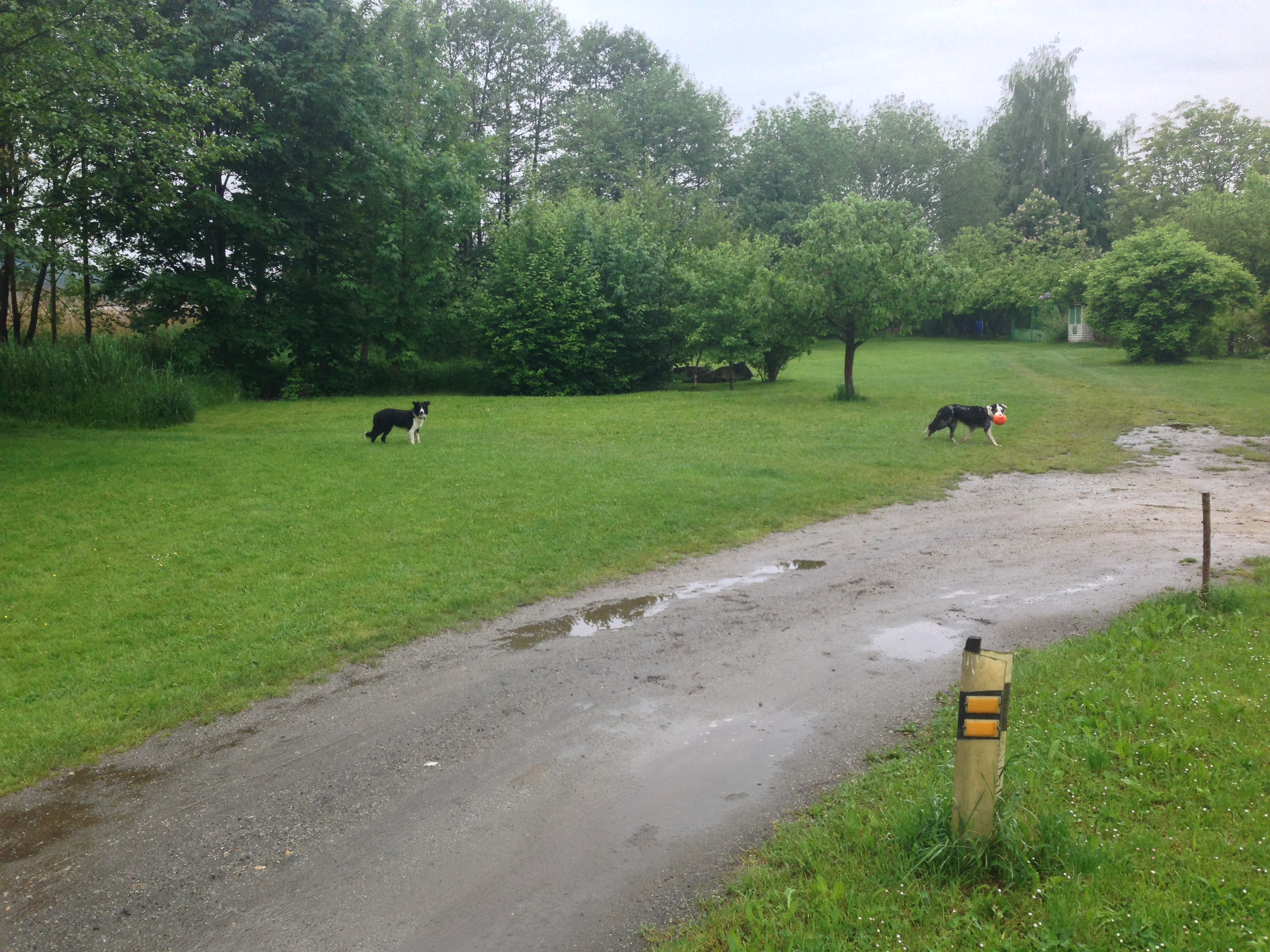 2015-05-24 10.13.16.jpg