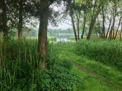 2015-05-24 10.13.46.jpg