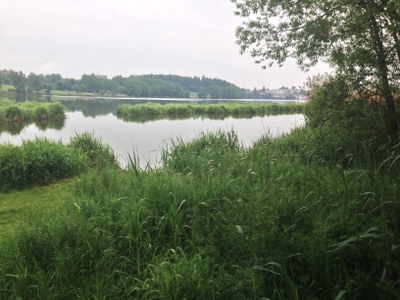 2015-05-24 10.14.07.jpg