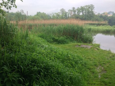 2015-05-24 10.14.10.jpg