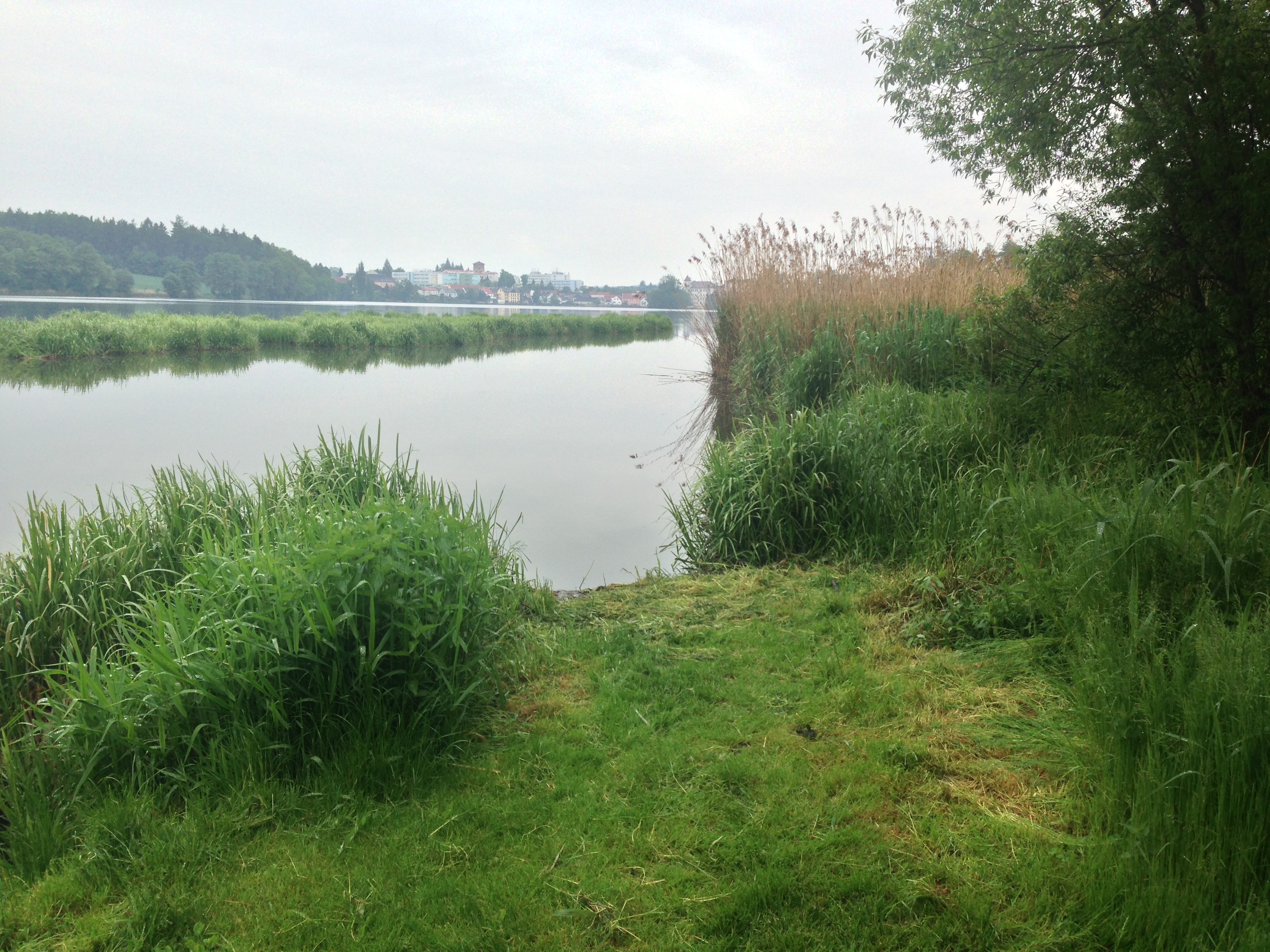 2015-05-24 10.14.25.jpg