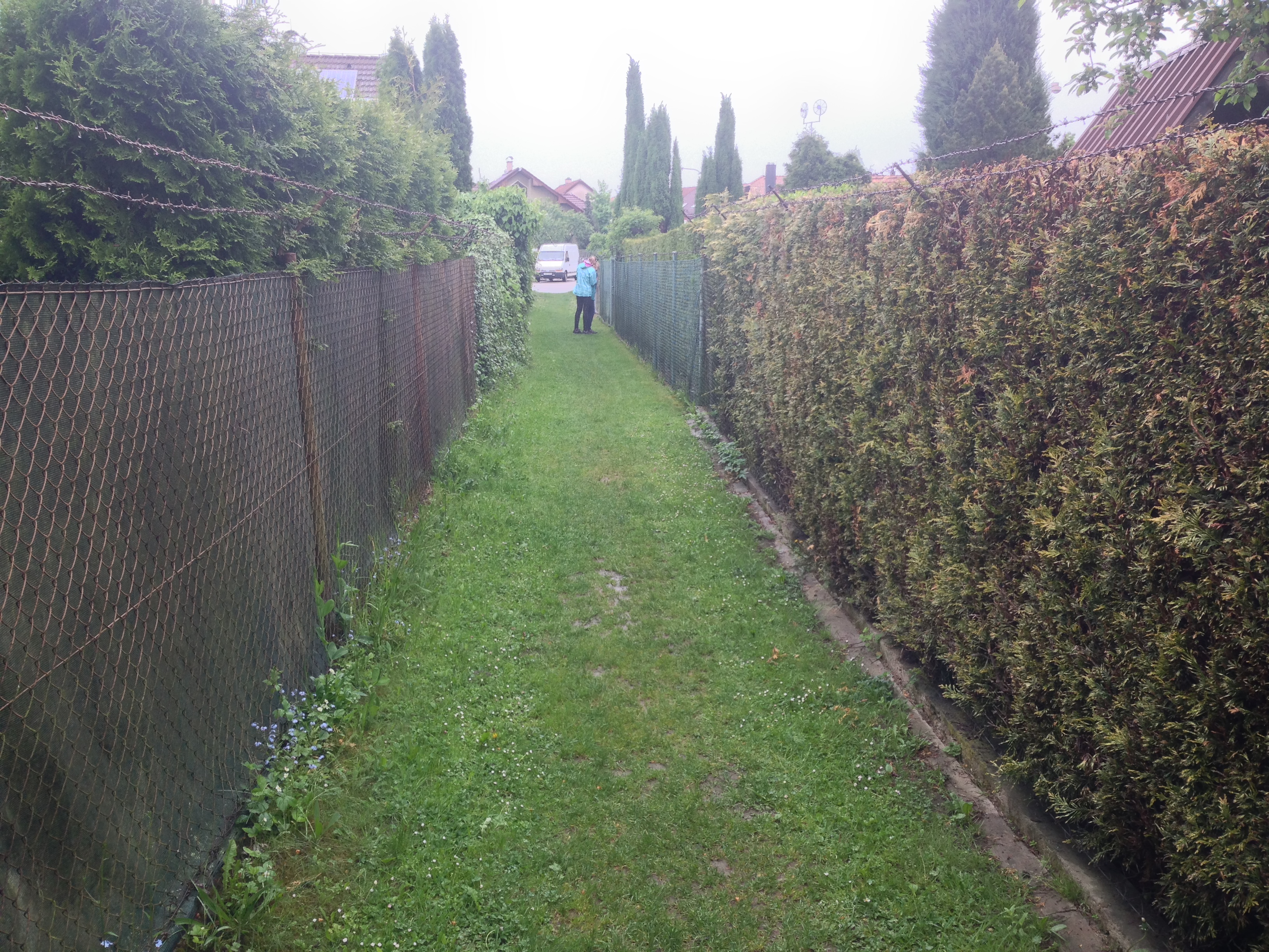 2015-05-24 10.15.38.jpg