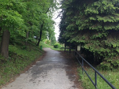 2015-05-24 13.30.11.jpg