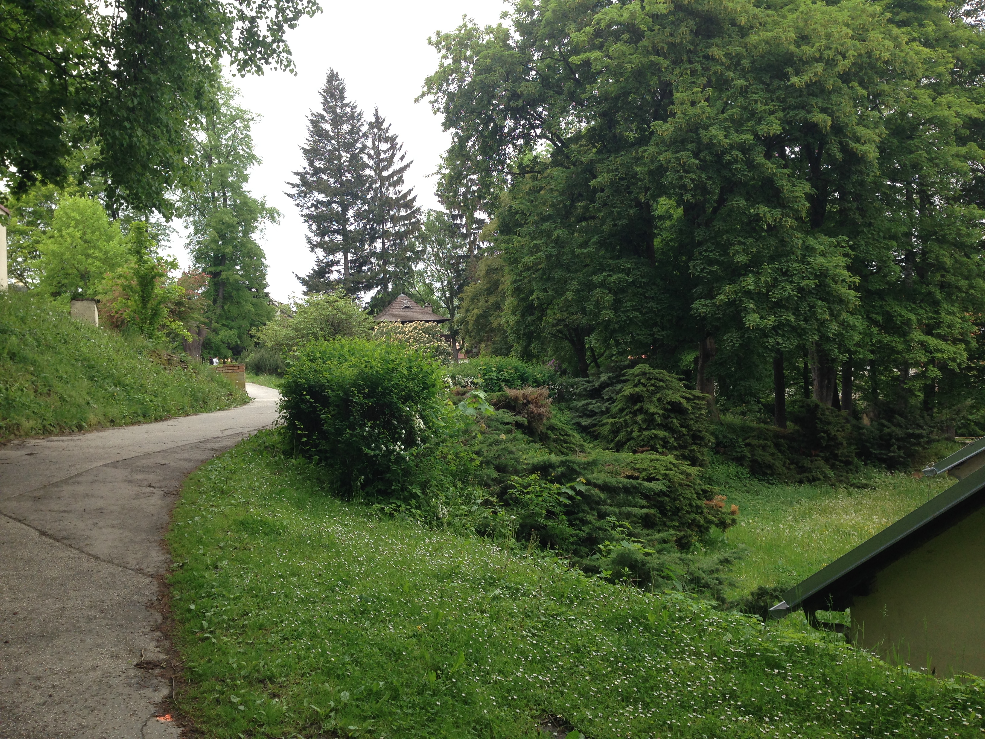 2015-05-24 13.30.47.jpg