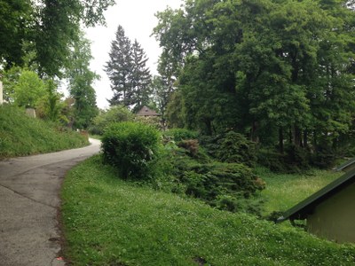 2015-05-24 13.30.47.jpg