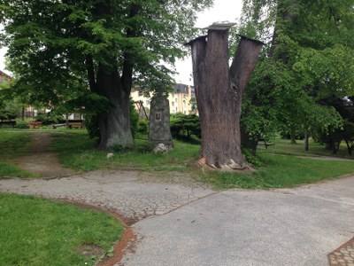 2015-05-24 13.34.03.jpg