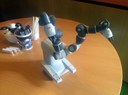 IMG 0692